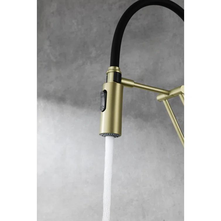 Elegant Lighting Leonardo Pull Down Spray Kitchen Faucet