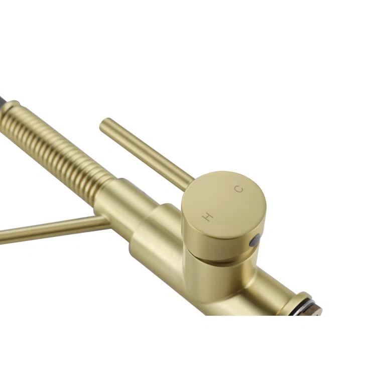 Elegant Lighting Yara Pull Down Spray Kitchen Faucet