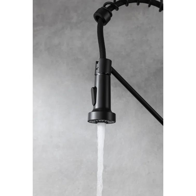 Elegant Lighting Yara Pull Down Spray Kitchen Faucet