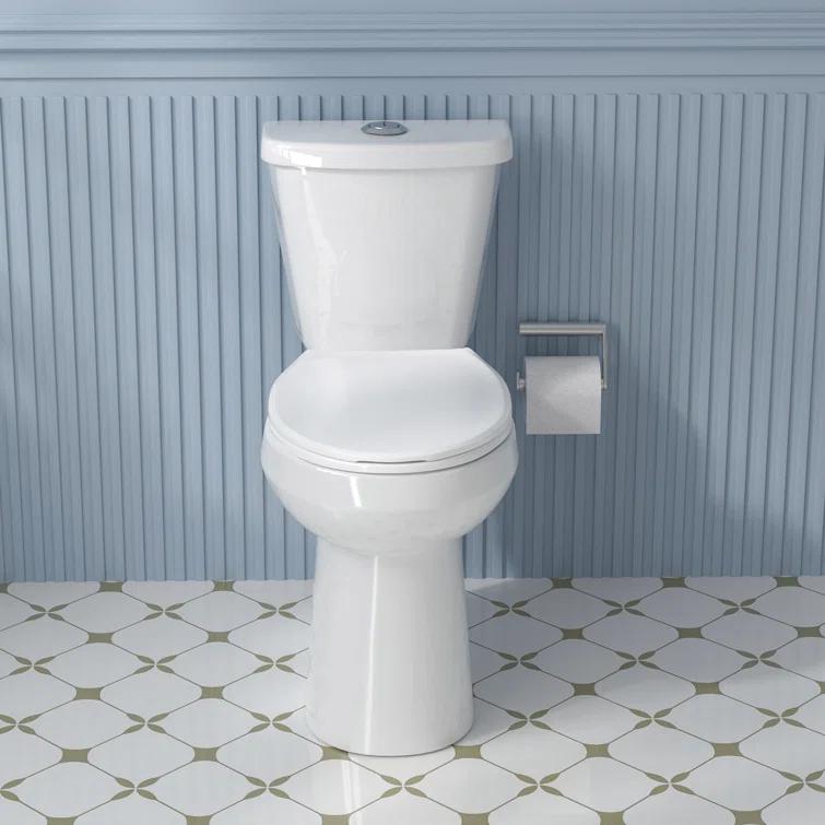 Aguamaph T2019RT 19 in. 2-Piece Toilet 1.1/1.6 GPF Dual Flush Round Toilet ADA Height with Soft-Close Seat