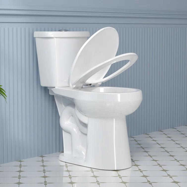 Aguamaph T2019RT 19 in. 2-Piece Toilet 1.1/1.6 GPF Dual Flush Round Toilet ADA Height with Soft-Close Seat