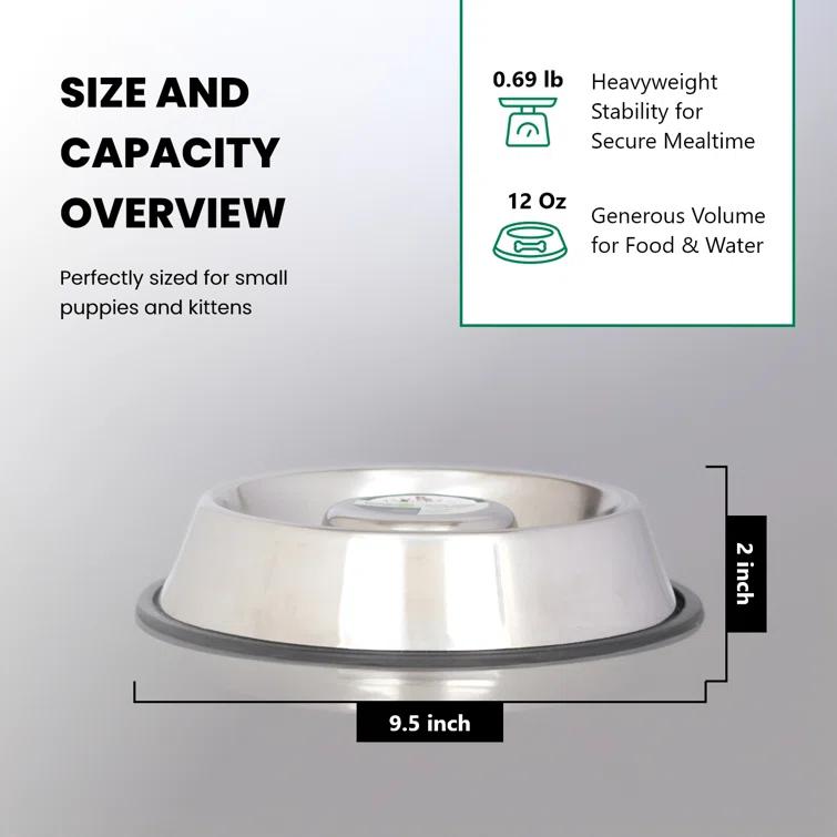 Iconic Pet Anti-Skid Slow Feeder (Set of 2)