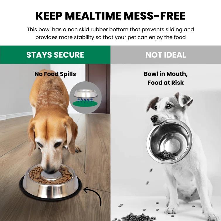 Anti-Skid Slow Feeder (Set of 2)