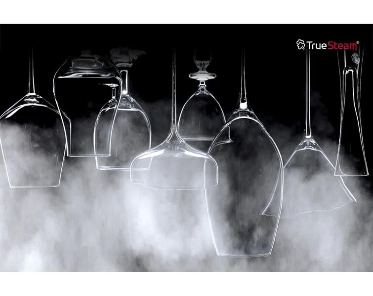 LG LG Smart Top Control Dishwasher with 1-Hour Wash & Dry, QuadWash® Pro, TrueSteam ®and Dynamic Heat Dry LDTH7972S