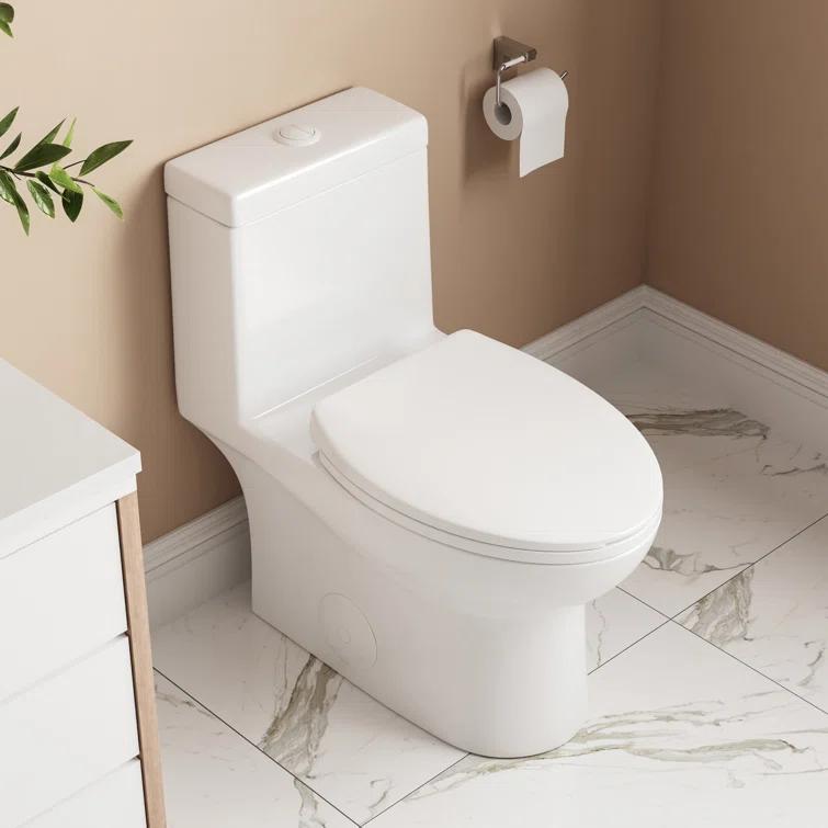 Ally Dual-Flush Elongated One-Piece Toilet with Glazed Surface Modern Toilet with Comfort Seat Height(Seat Included)