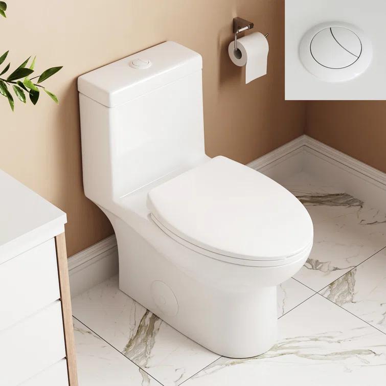 Ally Dual-Flush Elongated One-Piece Toilet with Glazed Surface Modern Toilet with Comfort Seat Height(Seat Included)