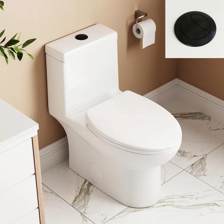 DeerValley Ally Dual-Flush Elongated One-Piece Toilet with Glazed Surface Modern Toilet with Comfort Seat Height  (Seat Included) DV-1F52816-Black