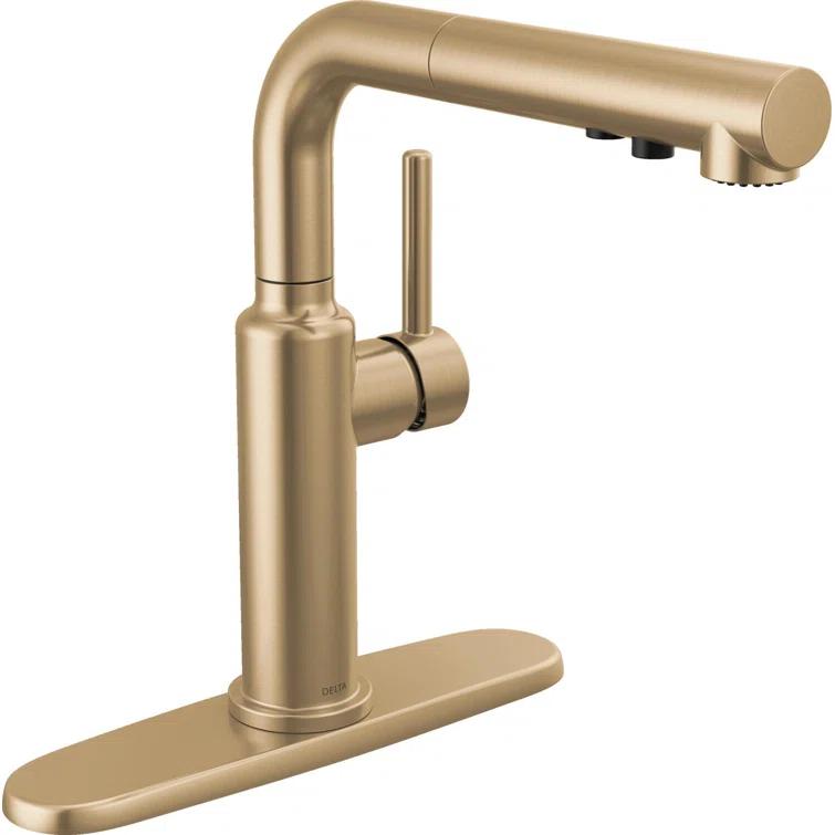 Daneri Pull-Out Sprayer Kitchen Faucet, Single Handle Kitchen Sink Faucet