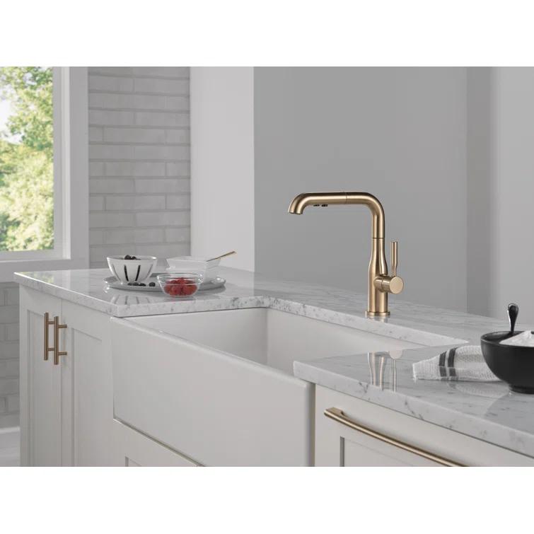 Delta Almari Pull-Out Sprayer Kitchen Faucet, Single Handle Kitchen Sink Faucet 16943-CZ-DST