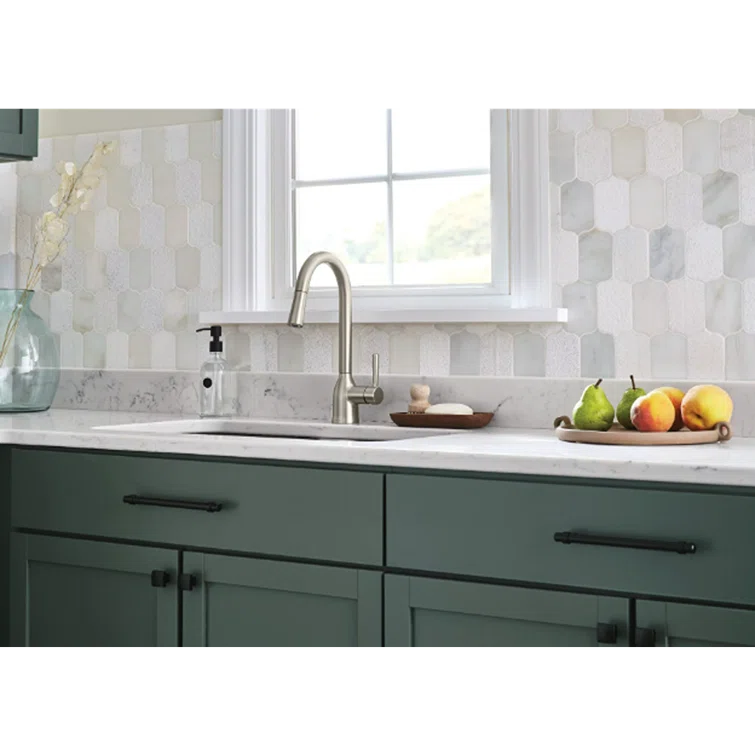 Adler Pull Down Single Handle Kitchen Faucet with Accessories