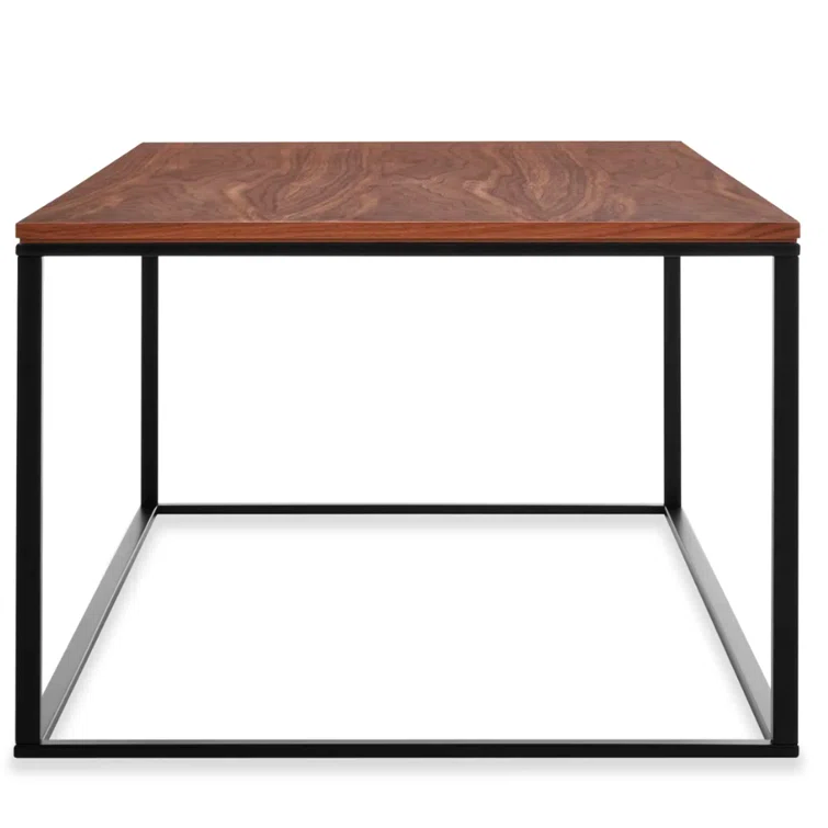 Minimalista Coffee Table with Marble Top