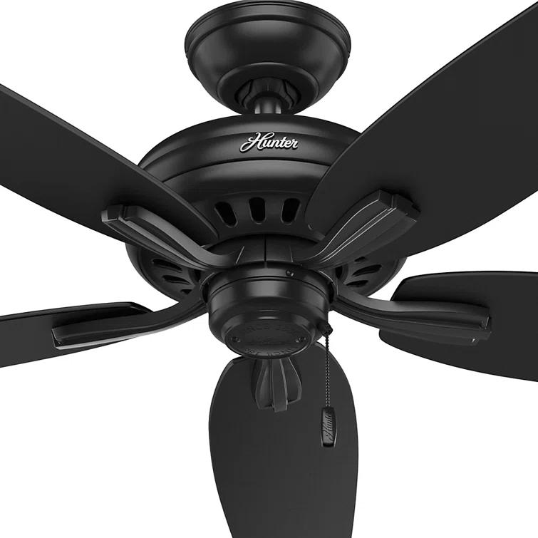 52" Newsome 5 - Blade Outdoor Standard Ceiling Fan with Pull Chain