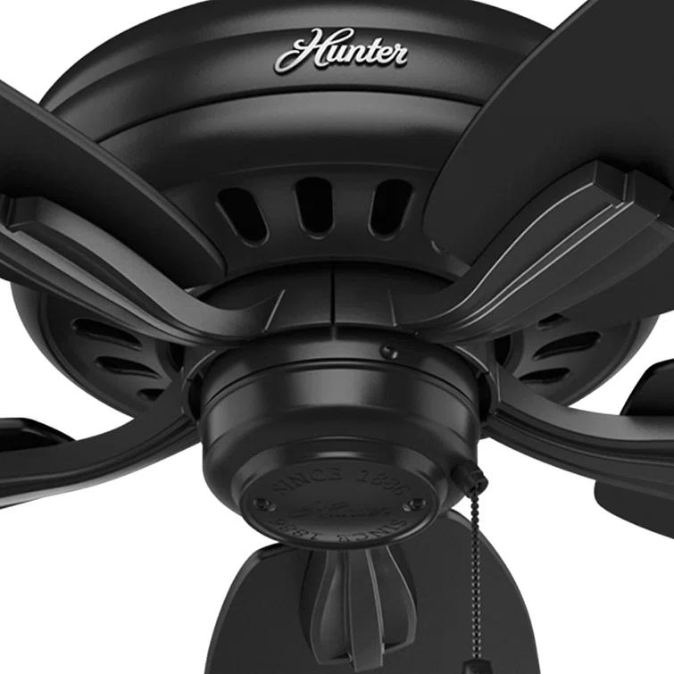 52" Newsome 5 - Blade Outdoor Standard Ceiling Fan with Pull Chain
