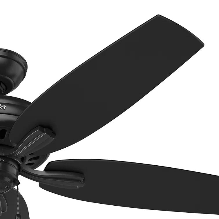 52" Newsome 5 - Blade Outdoor Standard Ceiling Fan with Pull Chain