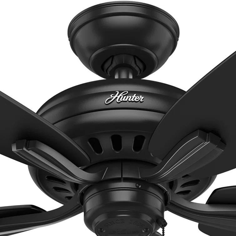 52" Newsome 5 - Blade Outdoor Standard Ceiling Fan with Pull Chain