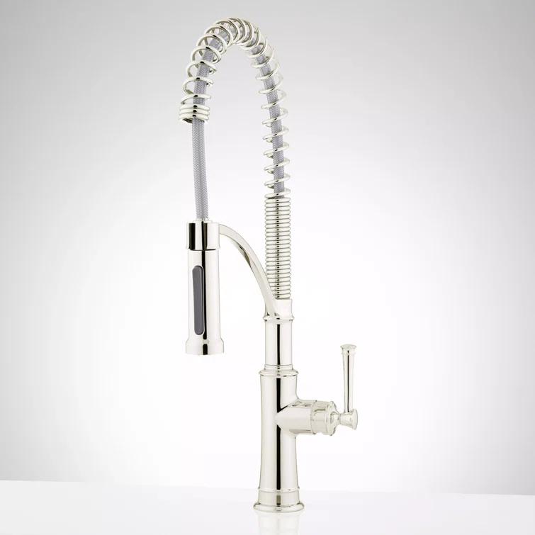 Beasley Single Hole Pre Rinse Pull Down Kitchen Faucet