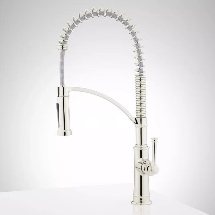 Beasley Single Hole Pre Rinse Pull Down Kitchen Faucet