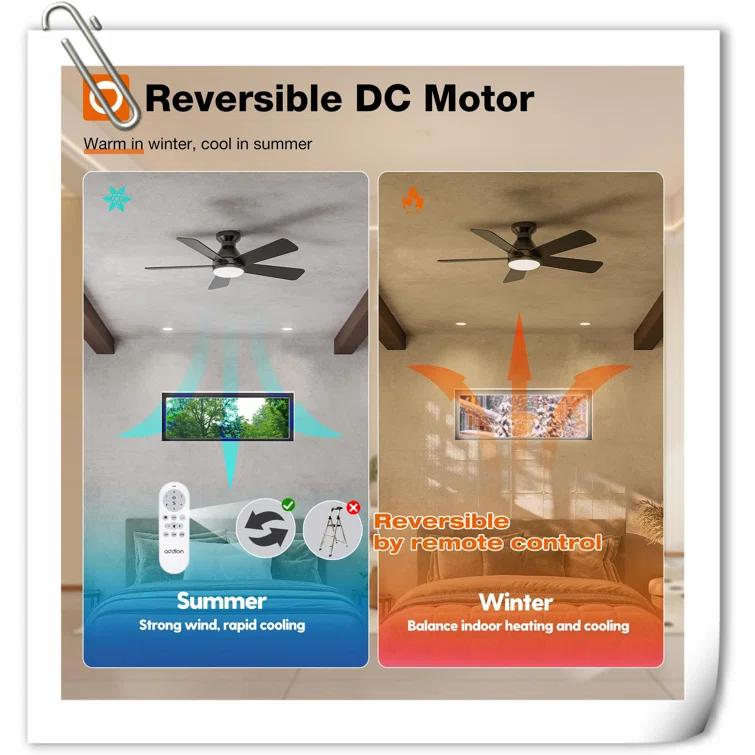 Ivy Bronx Myhrren Ceiling Fan with LED Lights