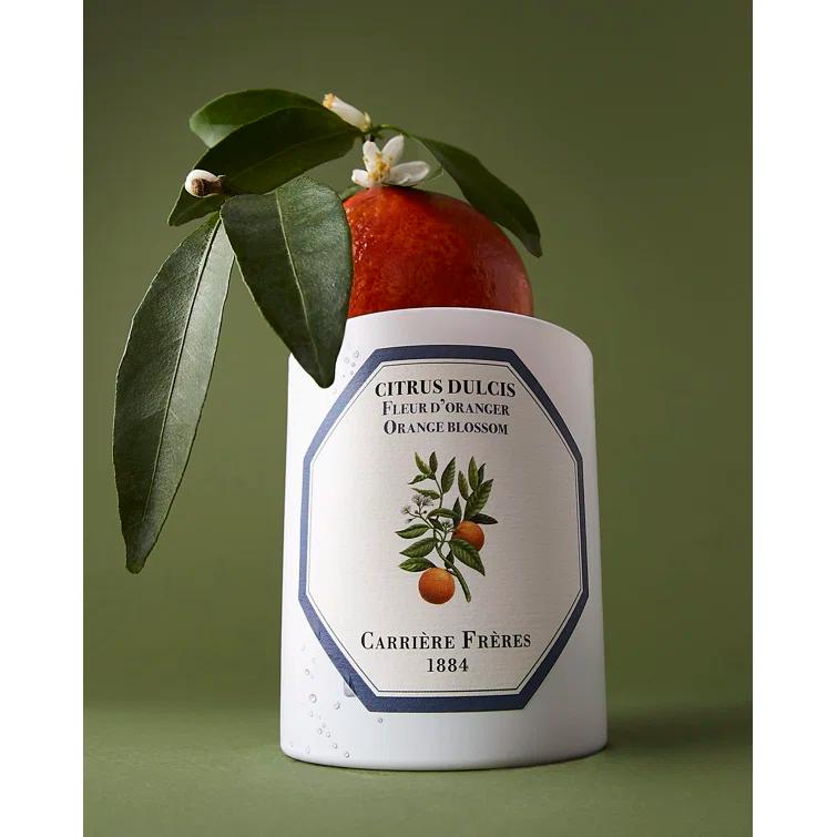 White Citrus Blossom Scented Spring Candle