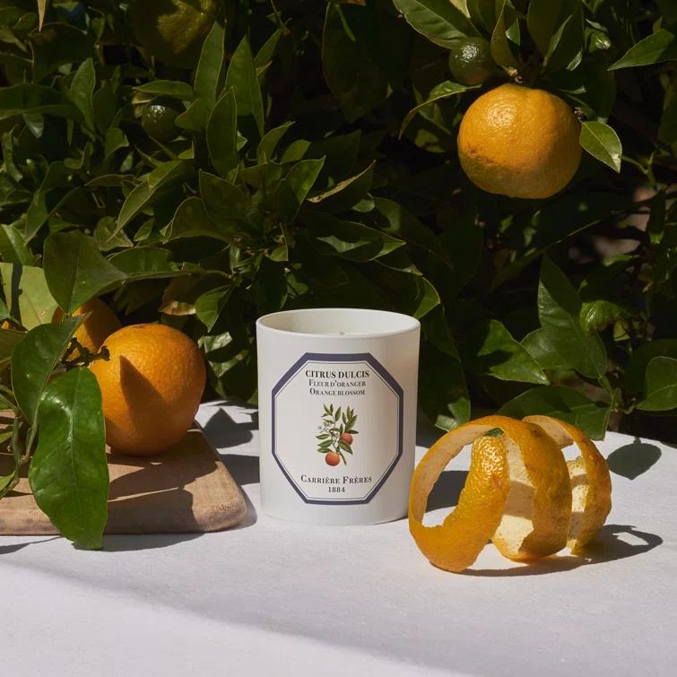 White Citrus Blossom Scented Spring Candle