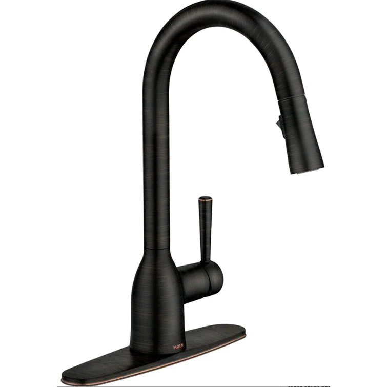 Adler Pull Down Single Handle Kitchen Faucet with Accessories