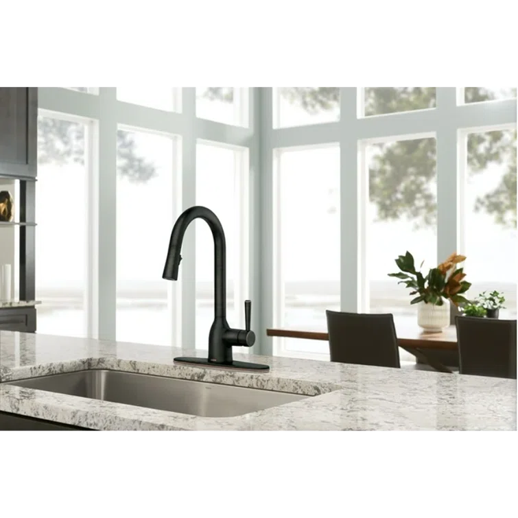 Adler Pull Down Single Handle Kitchen Faucet with Accessories