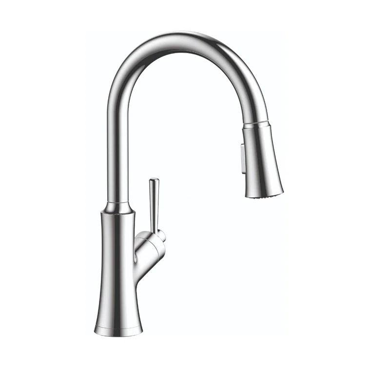 Joleena Pull Down Single Handle Kitchen Faucet