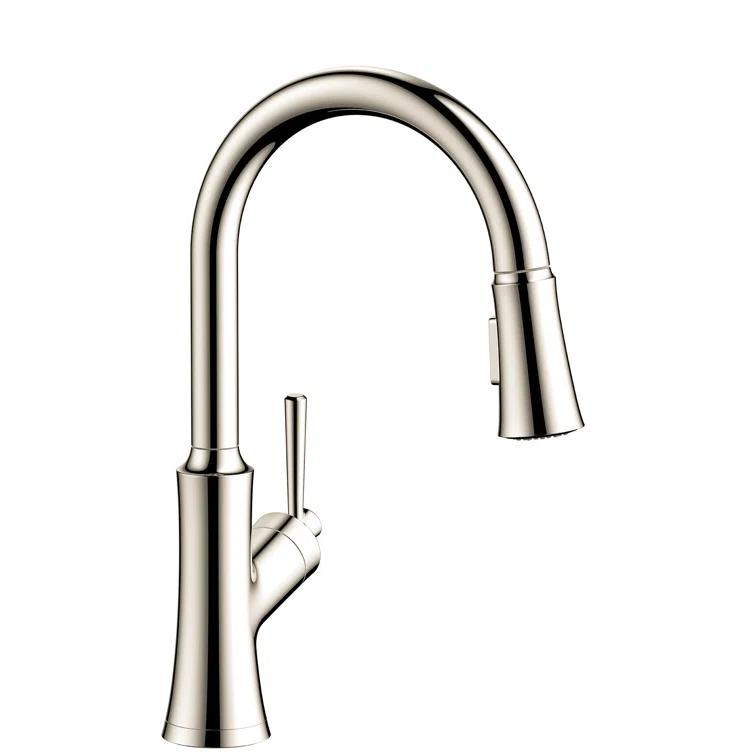 Joleena Pull Down Single Handle Kitchen Faucet