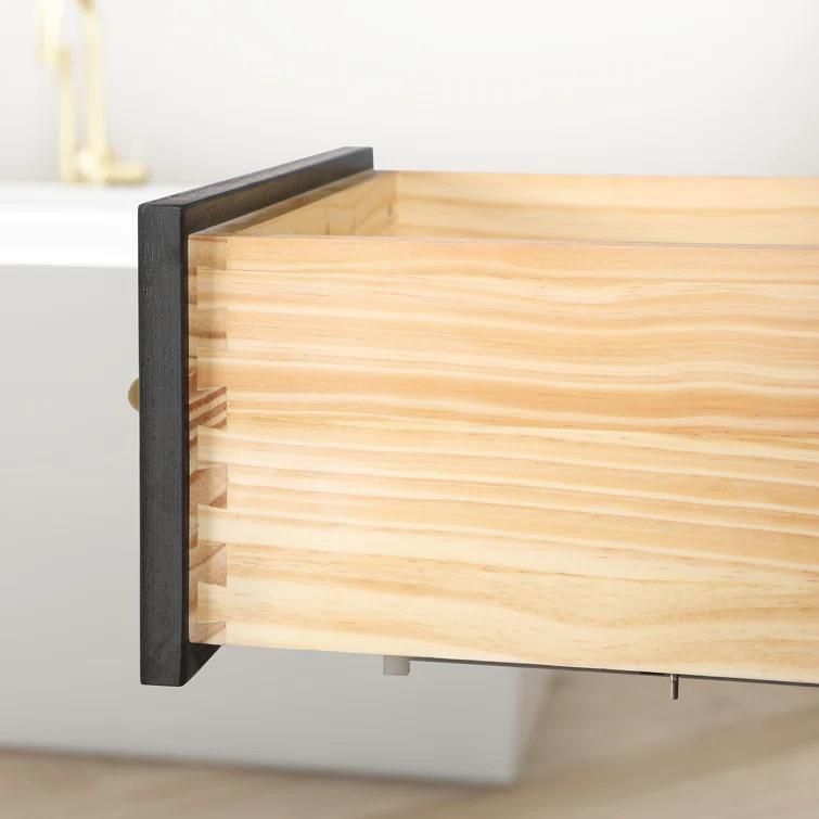 OVE Decors Bailey 42" Single Bathroom Vanity with Premium Countertop