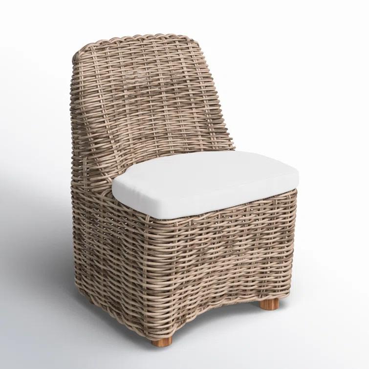 Dalva Polyethylene (PE) Wicker Wicker Outdoor Dining Side Chair with Cushion