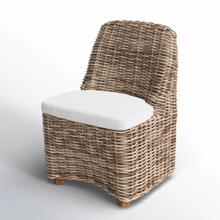 Dalva Polyethylene (PE) Wicker Wicker Outdoor Dining Side Chair with Cushion