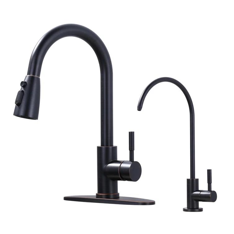 ARCORA ARCORA Stainless Steel Pull-Down Kitchen Faucet and Water Filter Faucet Combo AR7100301RB-L