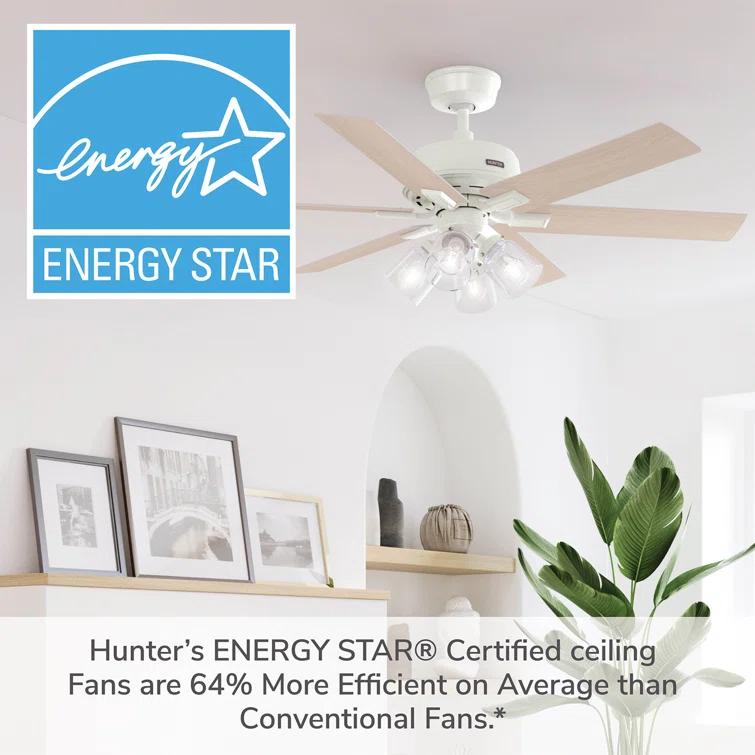 Hunter 52 Inch Fonthill ENERGY STAR® Hunterexpress Ceiling Fan With Lights And Remote