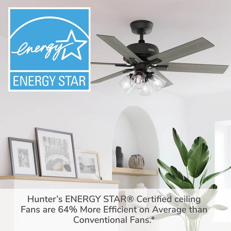 Hunter 52 Inch Fonthill ENERGY STAR® Hunterexpress Ceiling Fan With Lights And Remote