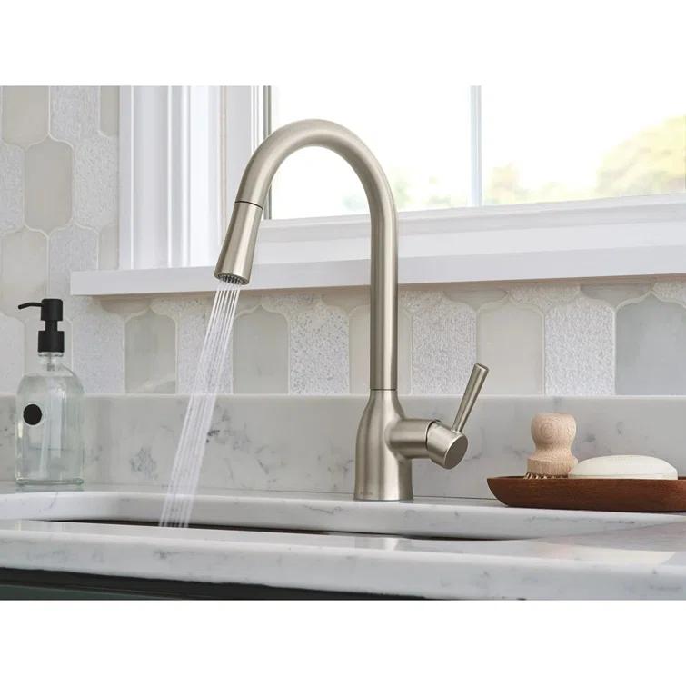 Adler Pull Down Single Handle Kitchen Faucet with Accessories