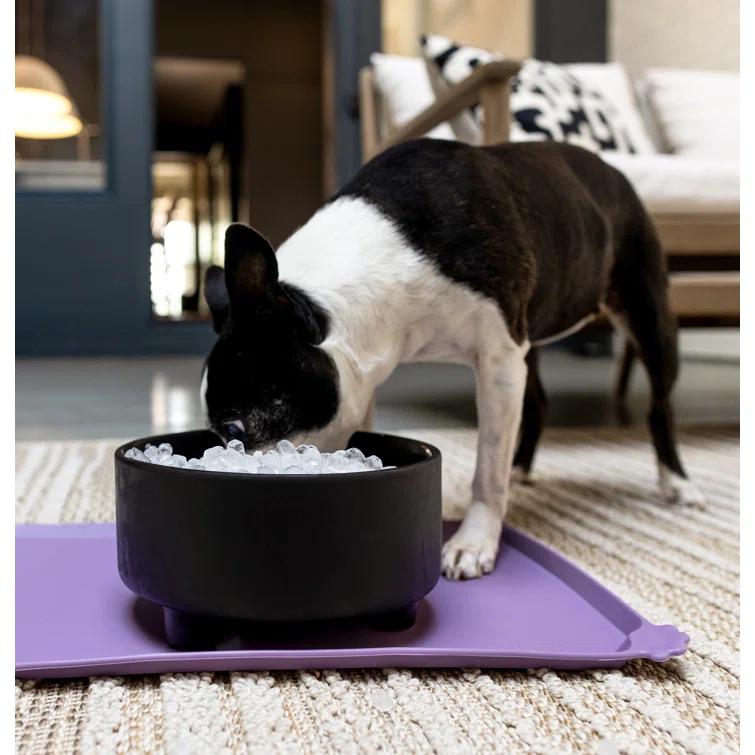 GE Profile Opal 2.0 Nugget Ice Maker 38 Lb. Daily Production Freestanding Ice Maker