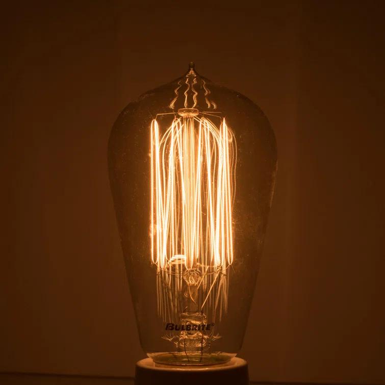 40 Watt Dimmable Nostalgic Edison Squirrel Cage-Style ST18 Light Bulb