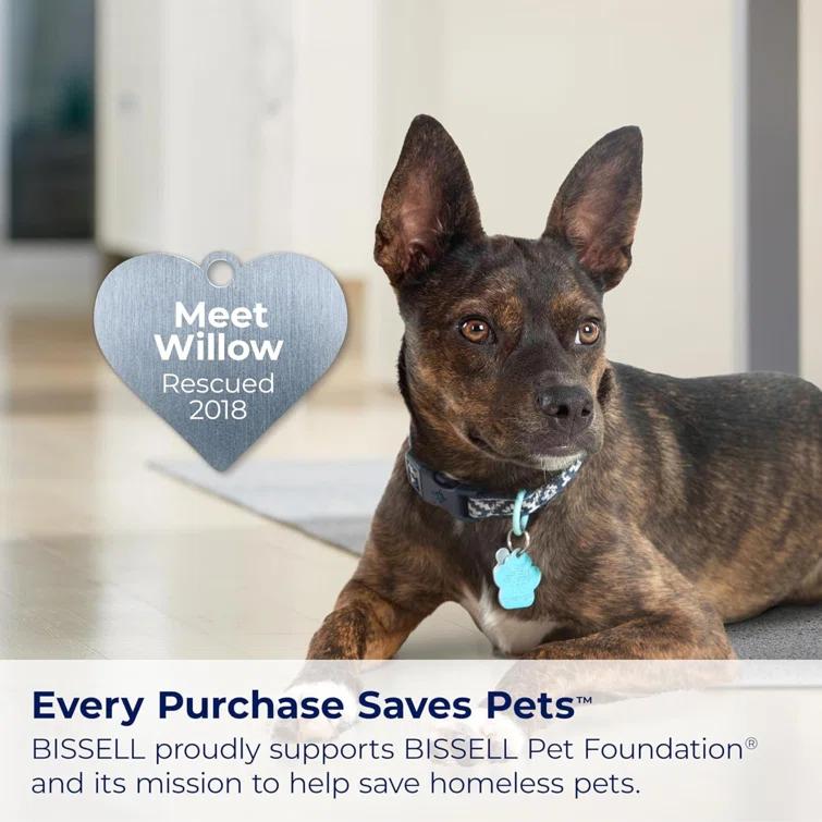 BISSELL 1400B BISSELL Little Green Multi-Purpose Portable Carpet and Upholstery Cleaner, Car and Auto Detailer, with Exclusive Specialty Tools, Green, 1400B