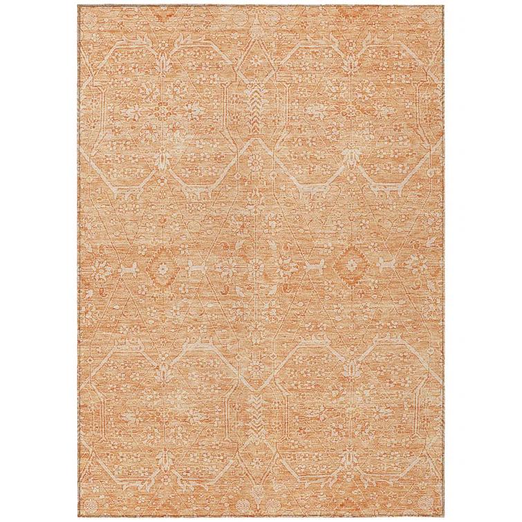 Machine Washable Indoor/Outdoor Claudian ACN1224 Salmon Rug