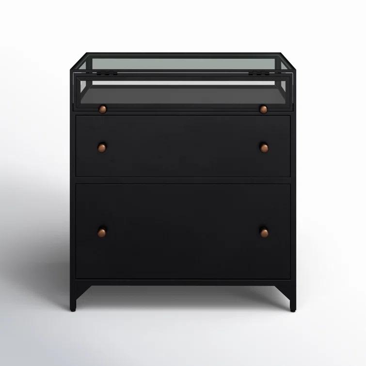 Belmont Matte Black Iron 2-Drawer Nightstand with Glass Enclosure