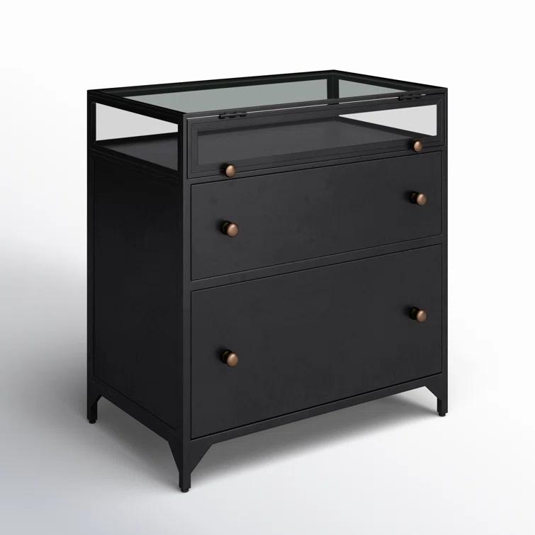Belmont Matte Black Iron 2-Drawer Nightstand with Glass Enclosure