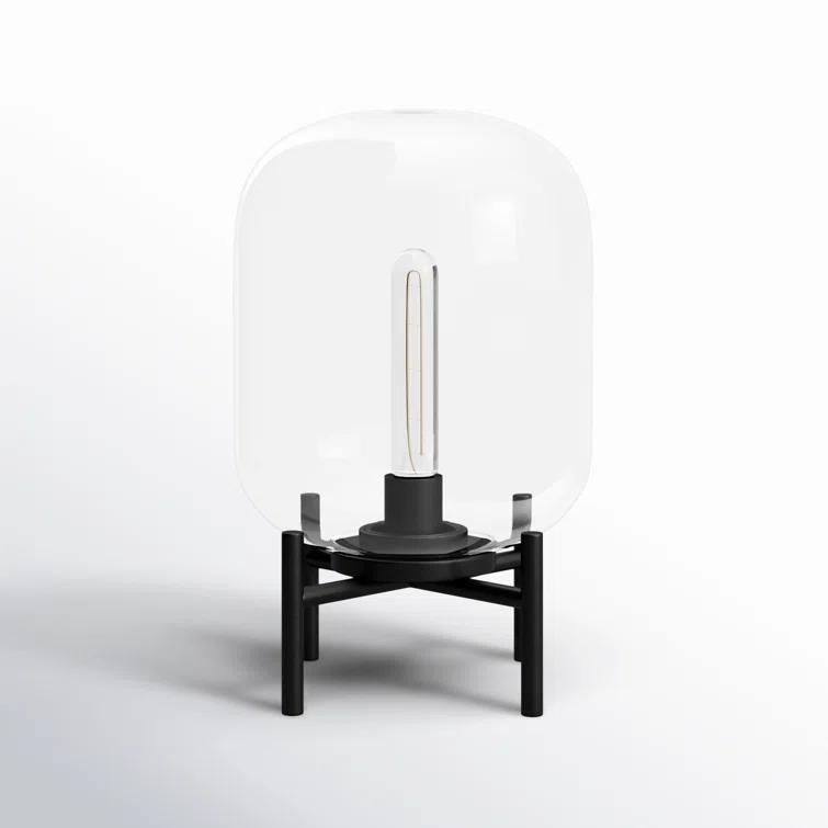 Danae Metal Novelty Lamp