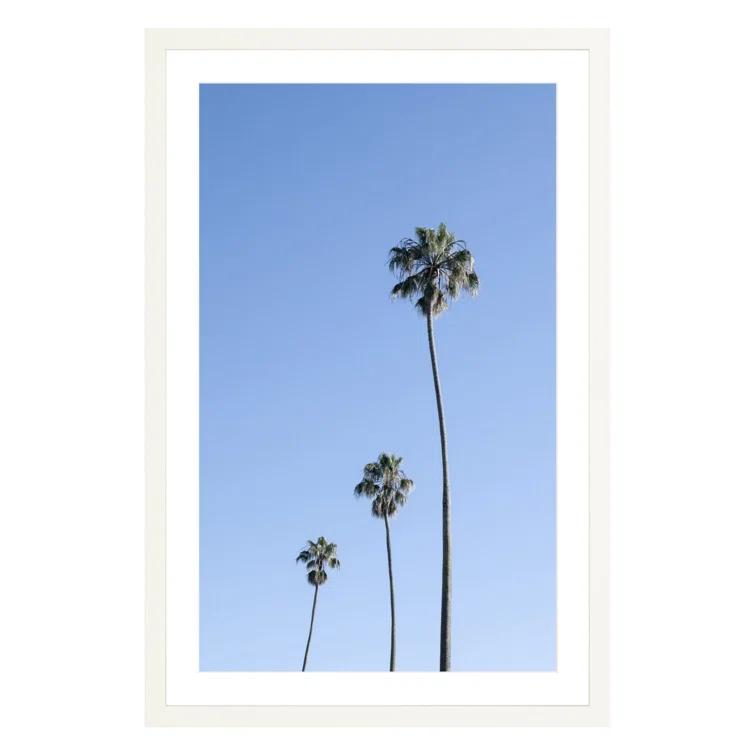 Large White Framed Palm Tree Photographic Print
