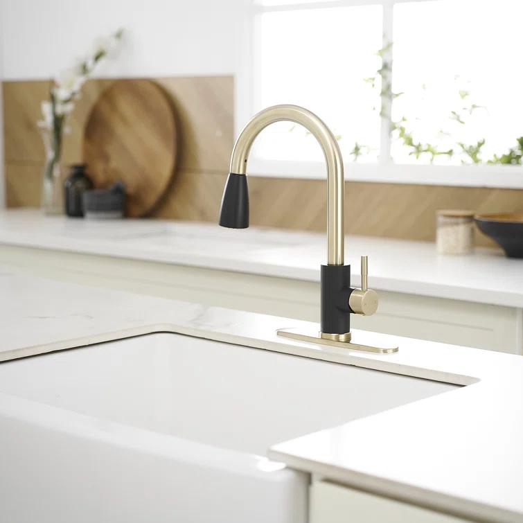 VIBRANTBATH Pull Out Kitchen Faucet