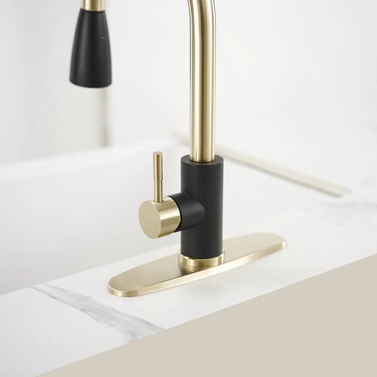 VIBRANTBATH Pull Out Kitchen Faucet
