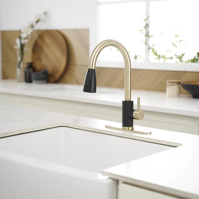 VIBRANTBATH Pull Out Kitchen Faucet