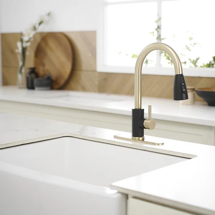 VIBRANTBATH Pull Out Kitchen Faucet