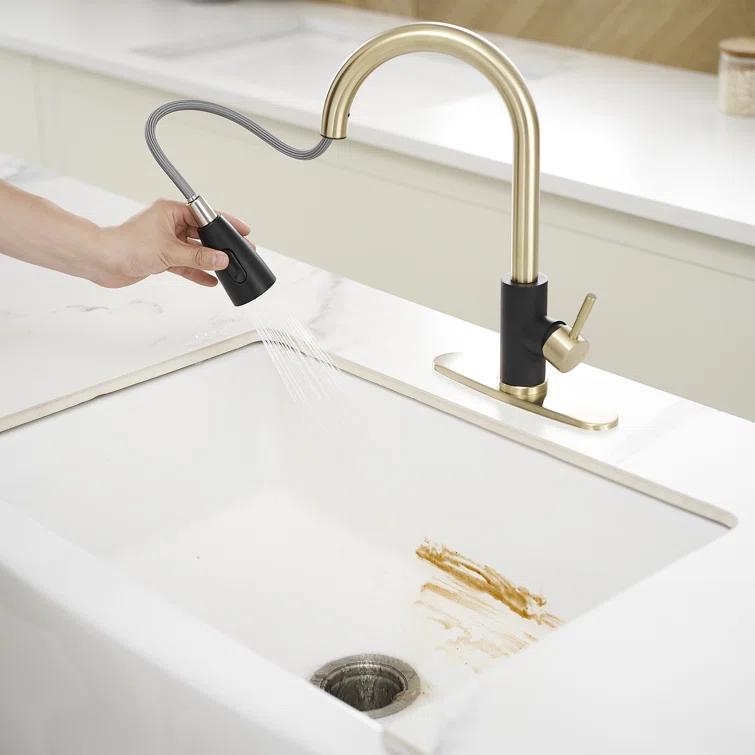 VIBRANTBATH Pull Out Kitchen Faucet