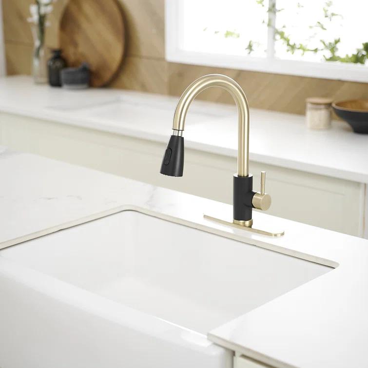 VIBRANTBATH Pull Out Kitchen Faucet