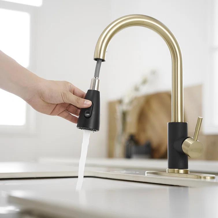 VIBRANTBATH Pull Out Kitchen Faucet